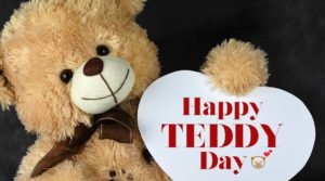 How to Celebrate Each Day of Valentine's Week 10 62 626811 happy teddy day wishes