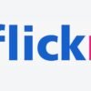 flickr logo