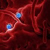 Coronavirus disease (COVID-2019) R&D 2 carona-18
