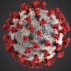 Coronavirus disease (COVID-19) is an infectious disease caused by a new virus. 3 carona-top