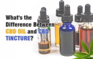 What s the Difference Between CBD Oil and CBD Tincture