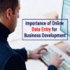 Online data entry for business development 1