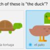 Duolingo best language learning apps for android