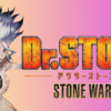 dr stone