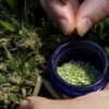 <strong>What are the Benefits of a CBD Topical Balm?</strong> 3 Goods