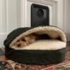Orthopedic VS Memory Foam Dog Bed - Which Is Best For Your Pups? 7 dog bed