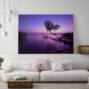 Canvas Prints 1