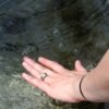 Causes Saltwater Harm Gold or White Gems? What's more, why? 7 Saltwater 1