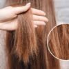 What Hair Treatment Is Best For Damaged Hair 5 Hair