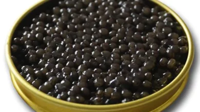 Caviar