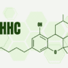 THC and HHC at High Levels: A Comparative Analysis 7 HHC