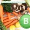Wellhealthorganic Vitamin b12