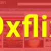 9xflix: Does It Actually Work? Here You must be Aware of The Following! 5 9xflix