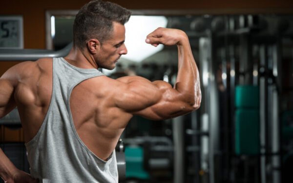 Wellhealth How to Build Muscle Tag