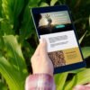 Enhancing User Experience: Best Practices for Cannabis Web Design 5 cannabis web