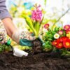 Benefits Of Gardening 5 gardening